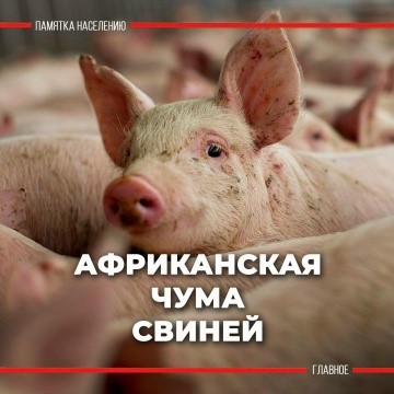 Сообщение Сообщение